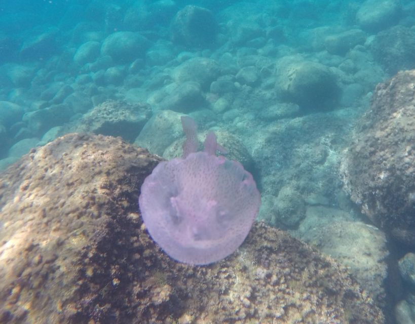 5 aci castello scuba diving for experts with small lunch Aci Castello Scuba Diving for Experts With Small Lunch