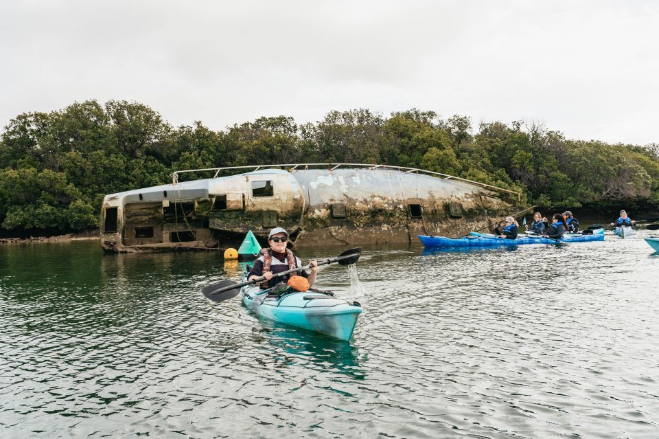 Adelaide: Dolphin Sanctuary Eco Kayaking Tour - Sample Customer Reviews