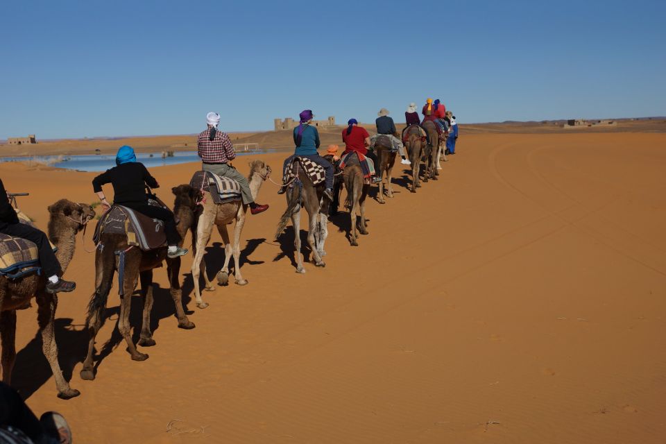 Agadir: Camel Ride With Tea in Falamingos River - Booking Information