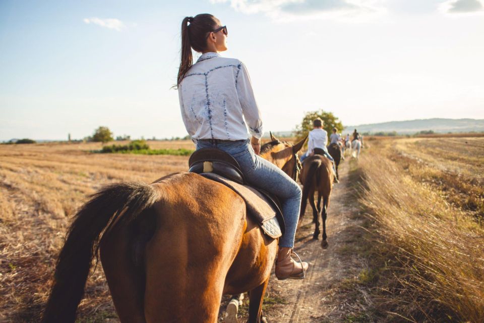 Agadir: Forest and Sand Dunes Guided Horse Riding Tour - Activity Highlights