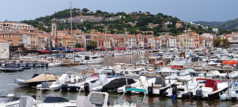 Aix-en-Provence: Marseille, Cassis, & Calanques Private Tour - Additional Information and Focus