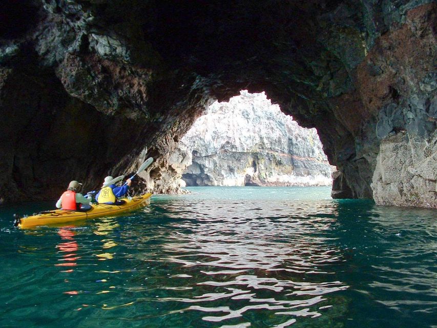 Akaroa: 4WD Safari and Guided Sea-Kayaking Experience - Additional Information