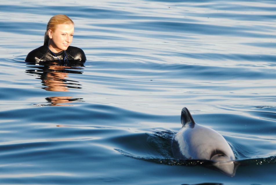 Akaroa: Swimming With Wild Dolphins 3-Hour Experience - Check-in and Vessel Information