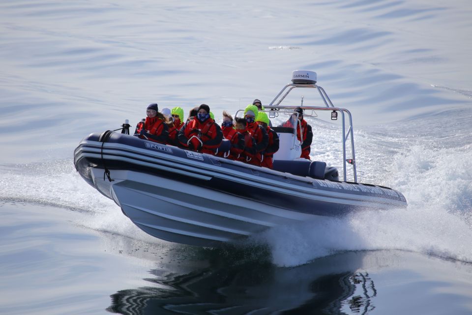 Akureyri: 2–Hour Whale Watching Express by RIB Speedboat - Overall Review Summary