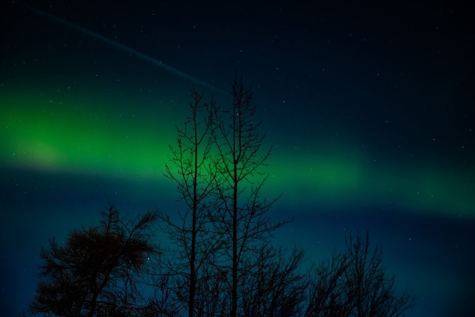 Akureyri: Northern Lights Photography Tour - Witnessing the Aurora Borealis