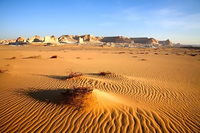 Al-Fayoum Private Trip With Lunch, Boat, and Sandboarding  - Cairo - Pricing Breakdown