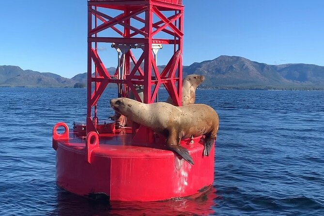 Alaska Marine Fast Boat Adventure - Tour Details