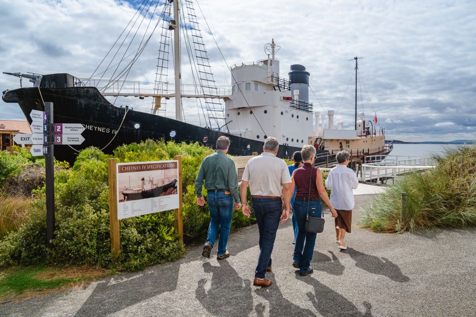 Albanys Whale Story - Visitor Information and Details