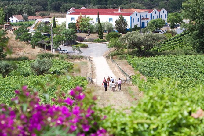 Alentejo Wine Tour From Évora - Booking Information