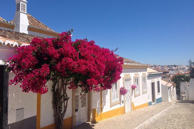 Algarve Coastal Highlights Private 8-Day Walking Tour  - Faro - Additional Information