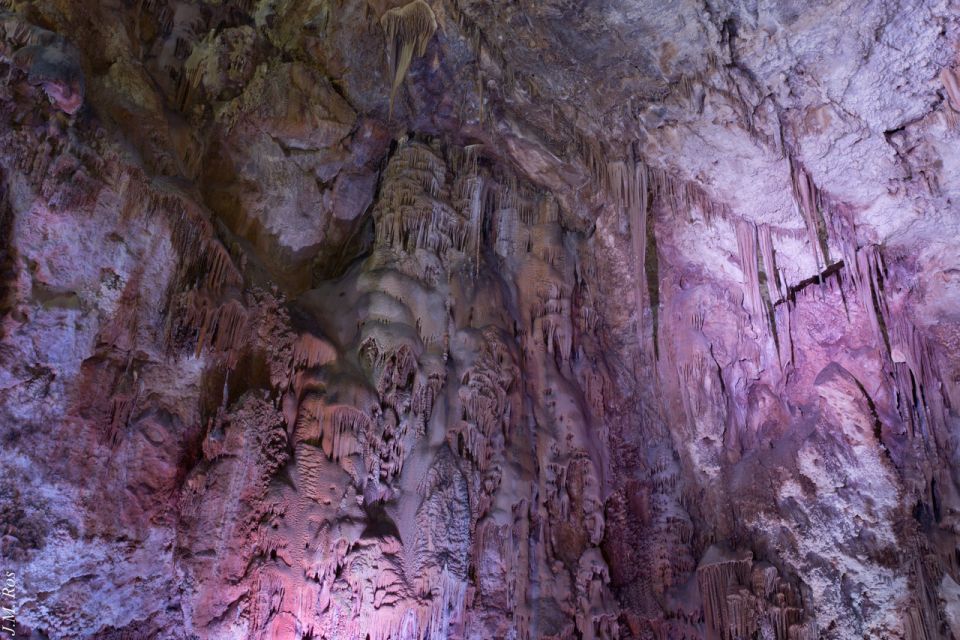 Alicante: Canelobre Caves Tour With Transport - Memorable Experiences