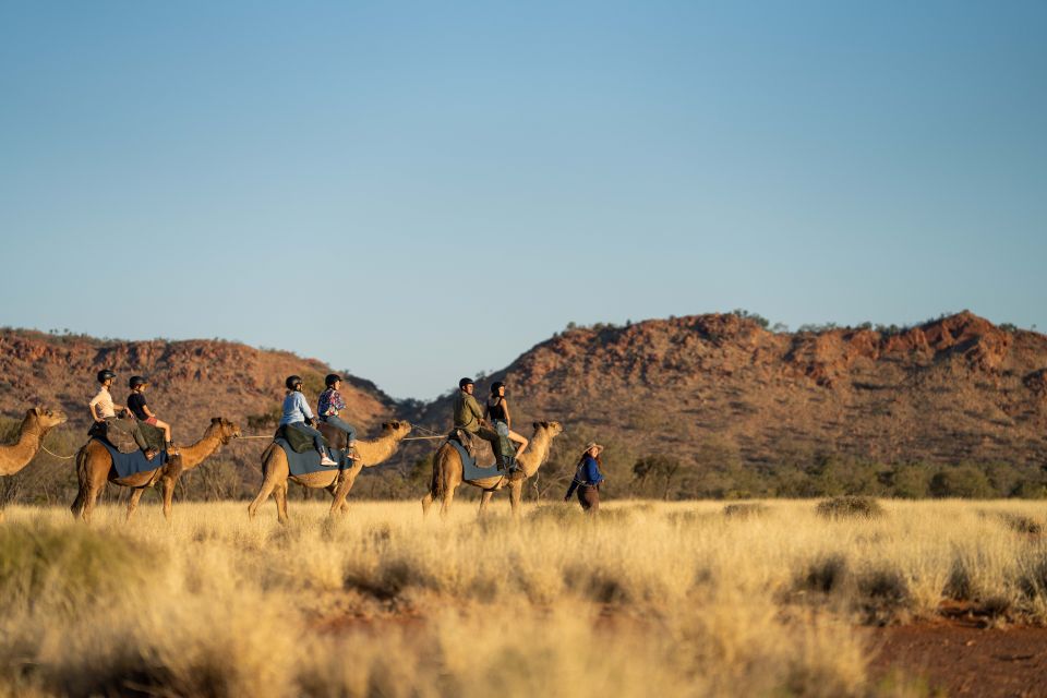 Alice Springs: Guided Outback Camel Ride - Customer Reviews