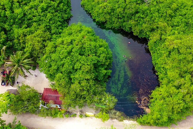 Amazing Beginner Dive in Tulum Cenote (Or Refresher Dive) - Common questions