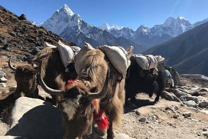 An Amazing Everest Base Camp Trek- 12 Days - Visa Information