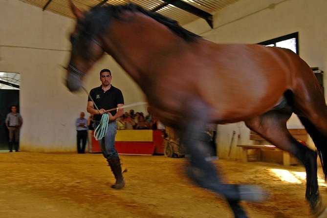 Andalucia Bull and Horse Farm and Ronda Private Tour From Malaga - Booking Confirmation