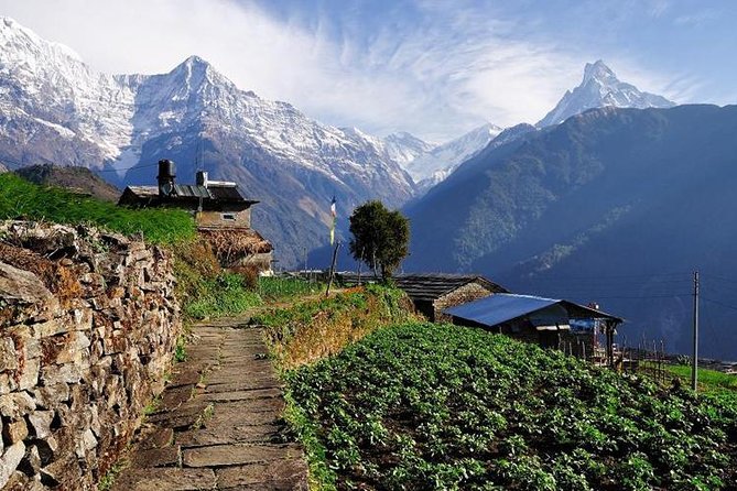 Annapurna Base Camp Trek - Price and Booking