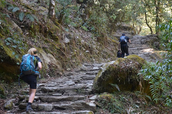 Annapurna Poonhill Trek - Common questions