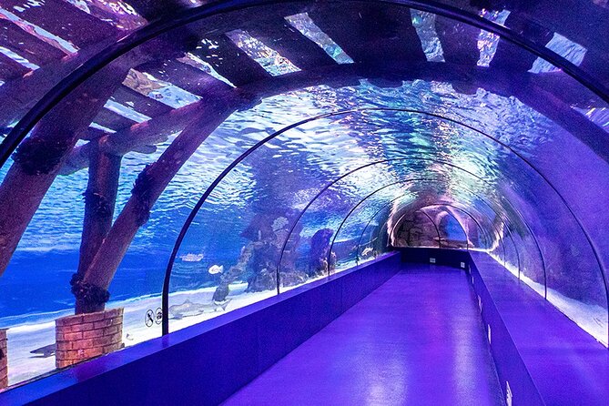 Antalya Aquarium With Pivate Transfer and Other Shops - Traveler Photos and Reviews
