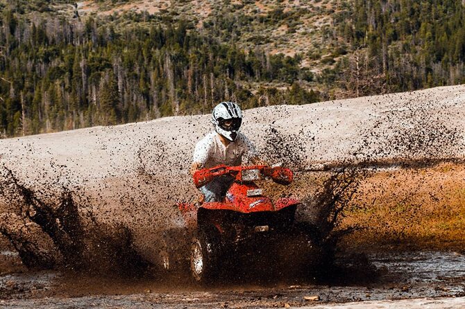 Antalya Quad Safari Experience by Local Experts - Local Expert Guidance and Support