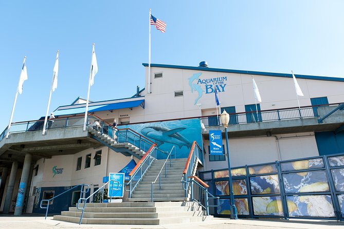 Aquarium of the Bay General Admission Ticket - Experience Highlights