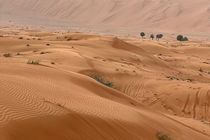 Arabian Dune Buggy Adventure - Safety Measures