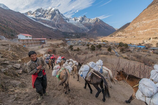 Around Manaslu Trek - Trek Itinerary