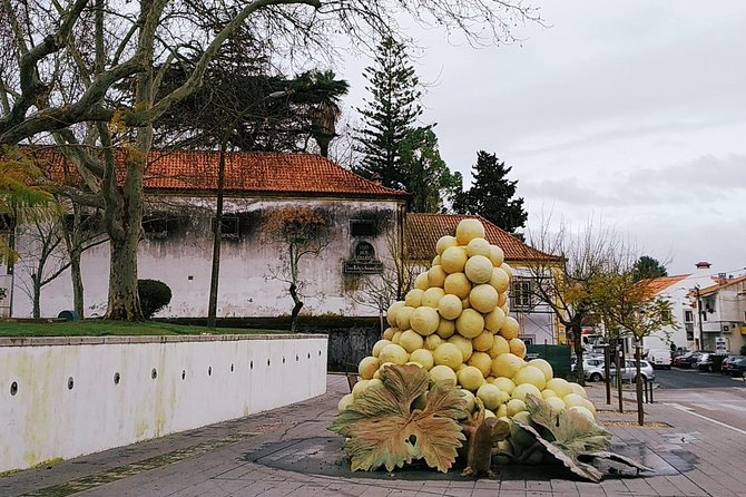 Arrábida Tour With Wine Tasting - Last Words