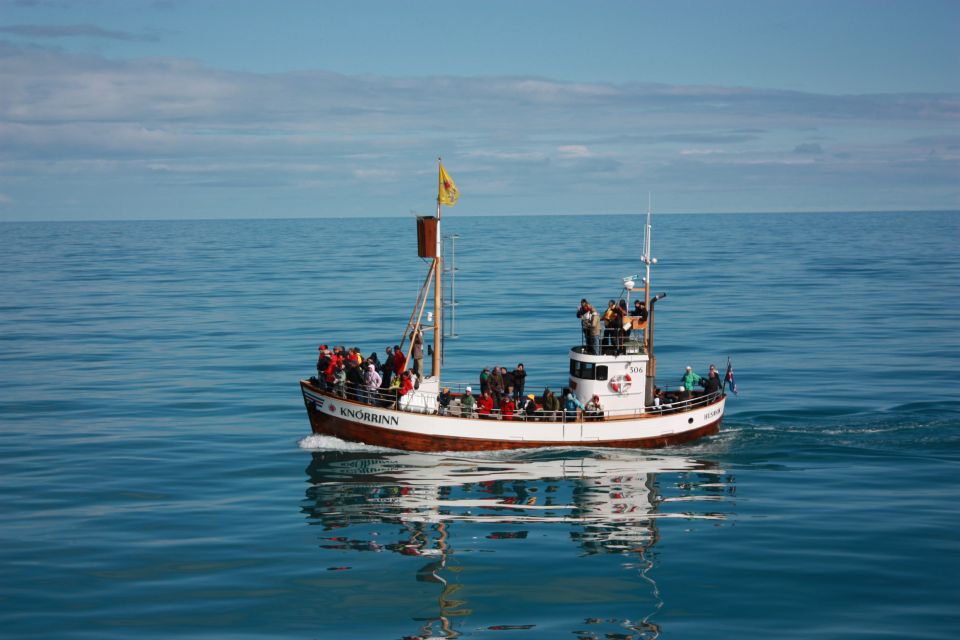 Árskógssandur: Whale-Watching Boat Trip - Common questions