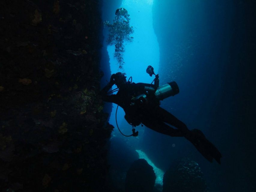 Athens: Adventure Dives in Nea Makri for Certified Divers - Customer Testimonial