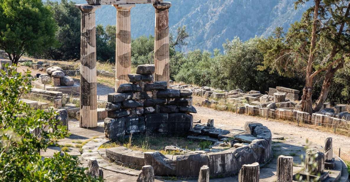 Athens: Private Trip to Delphi - Customer Feedback