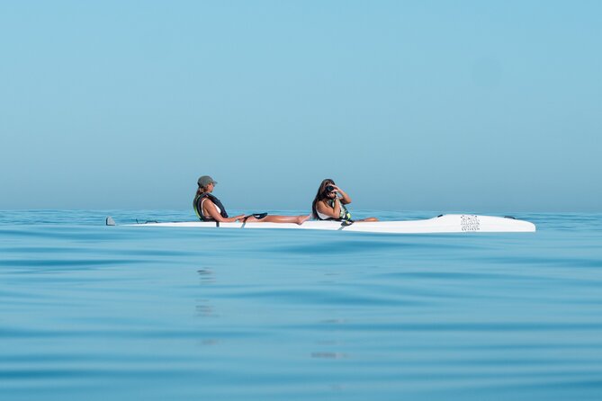 Atlantic Outlook Kayak Tour Cape Town - Traveler Photos and Featured Review