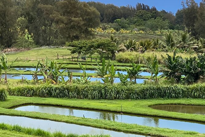 ATV 4WD UTV Scenic Guided Tour Near Waipio Valley and Kona - Directions