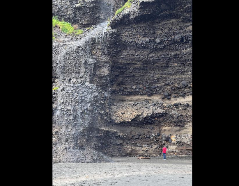 Auckland: City Sightseeing and Explore Piha Beach - Guide Information and Lunch Options