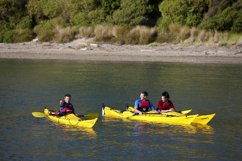 Auckland: Half-Day Sea Kayak Tour to Motukorea Island - Recommendations