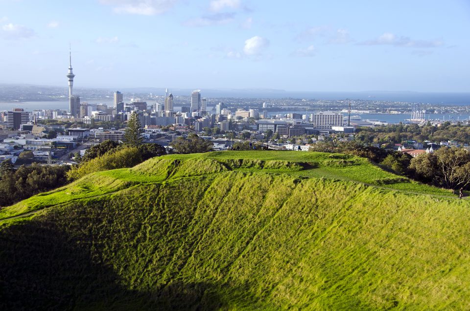 Auckland Scenic Half-Day City Sightseeing Tour - Customer Reviews