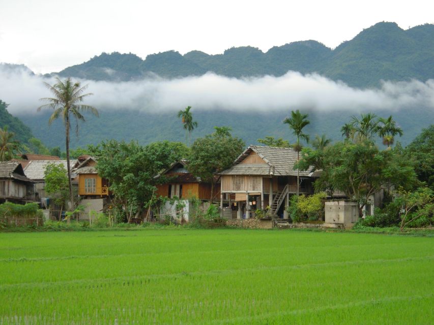 Authentic Mai Chau: Full Day Small Group Tour From Hanoi - Common questions