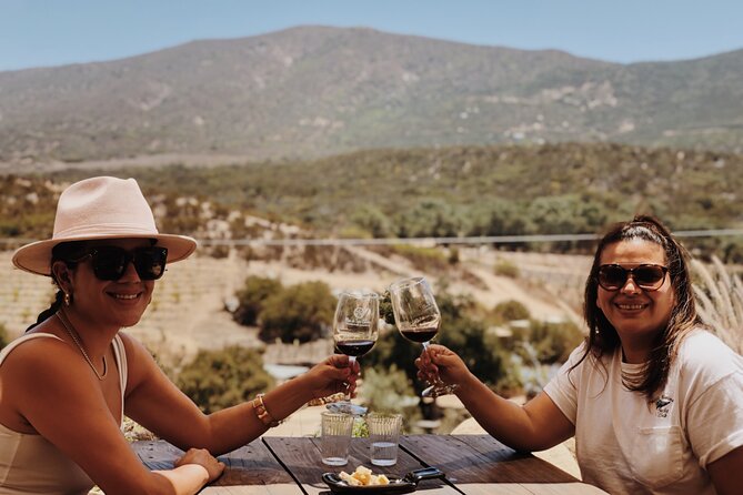 Baja Tour Guide Wine Tour - Pricing and Additional Details