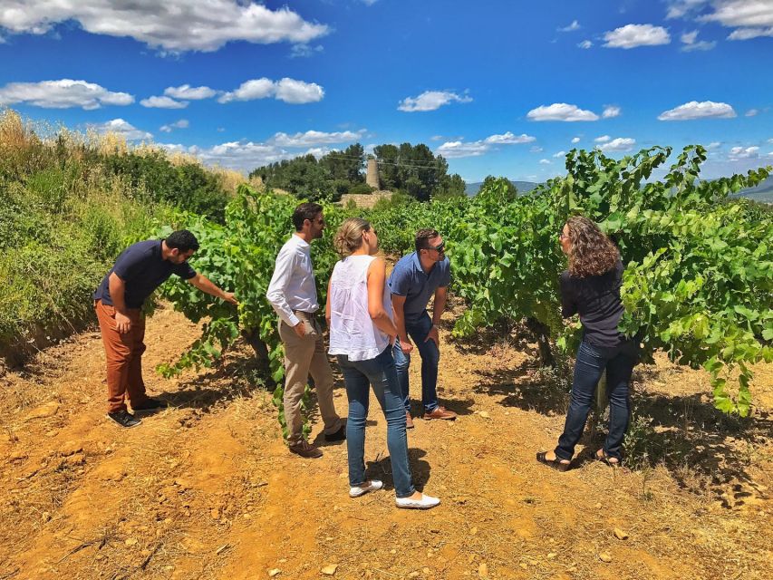 Barcelona: Wine & Sparkling Wine Premium Tour - Customer Reviews and Ratings