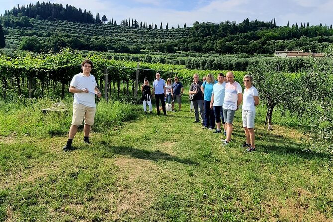 Bardolino: Vineyard Tour, Wine, Oil and Food Tasting - Food Pairing