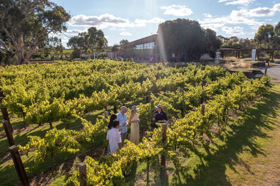 Barossa Valley: Jacobs Creek Perfect Picnic - Booking Information