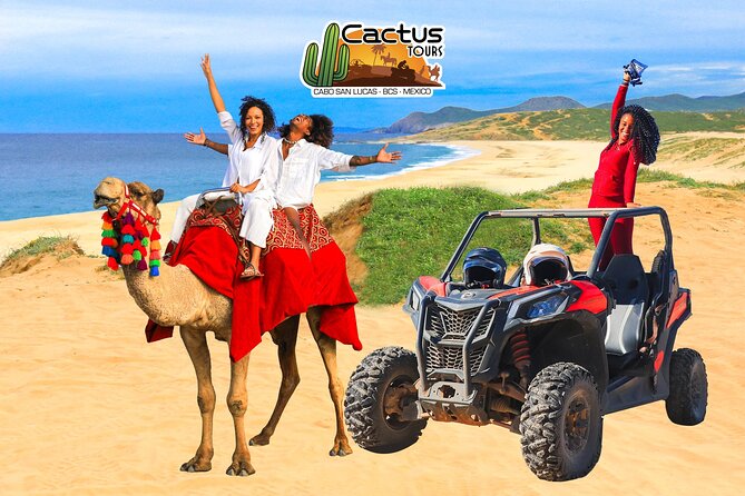 Beach UTV & Camel Ride COMBO in Cabo by Cactus Tours Park - Activity Itinerary