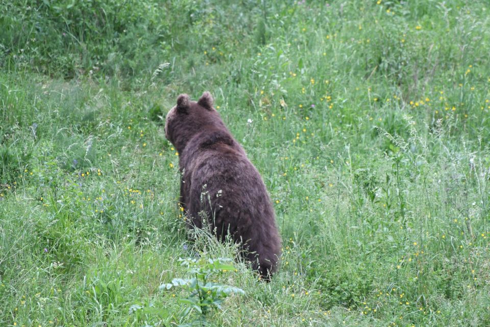 Bear Watching Slovenia - Inclusions