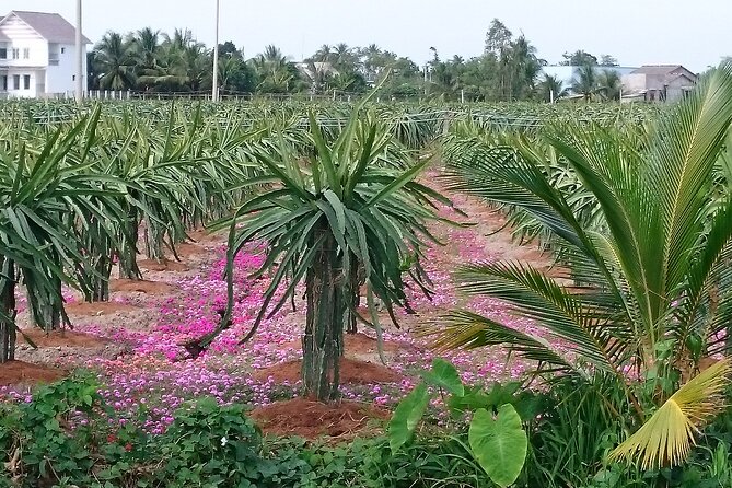 Best Mekong Delta Bike Tour - Pricing and Booking Information