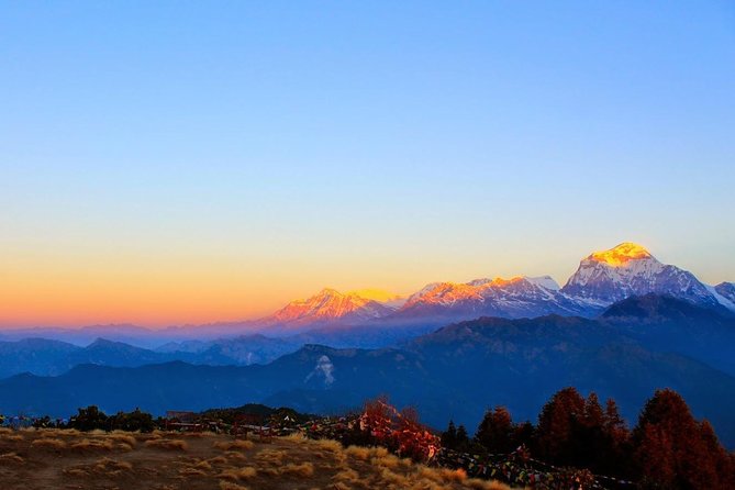 Best Short Mardi Himal Trek From Pokhara - 5 Days - Traveler Assistance & Reviews