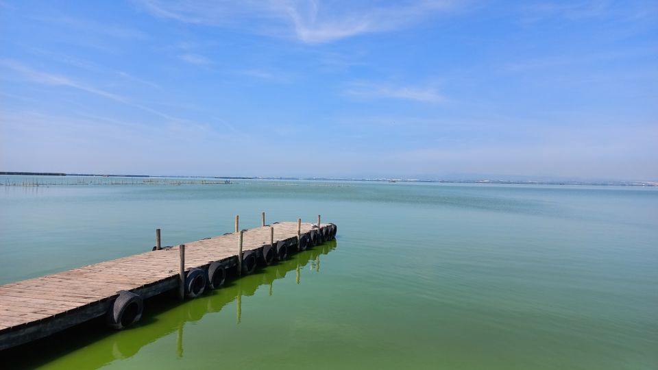 Bike Tour to Albufera Lake - Private Half Day - Common questions