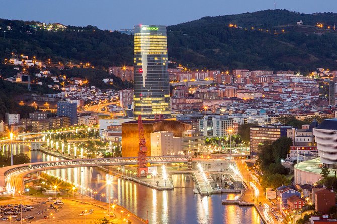 Bilbao & Guggenheim Museum From Vitoria - Booking Details and Requirements