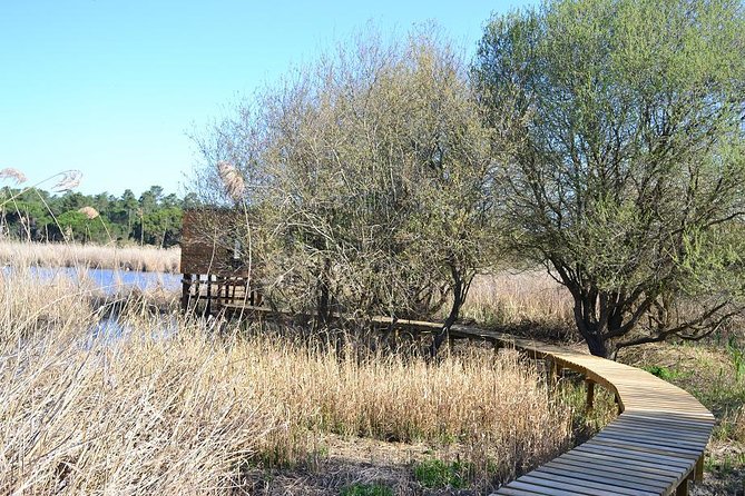 Bird Watching in Albufeira Lagoon - Common questions