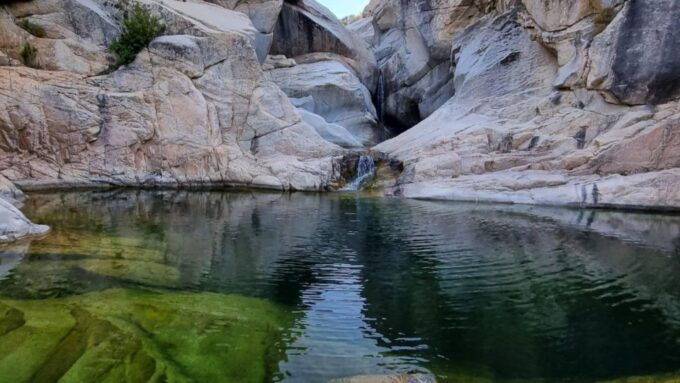 Blue Zone: Tour Among the Secrets of Sardinians Longevity - Important Information for Participants