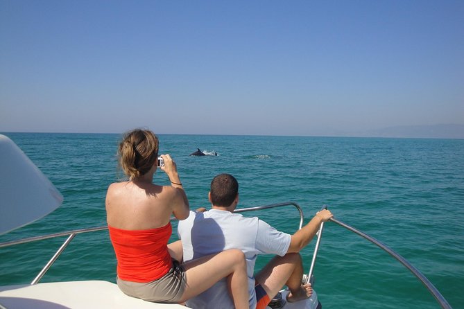 Boat Trip for Dolphin Watching Along the Arrabida Coast and Sesimbra - Additional Information