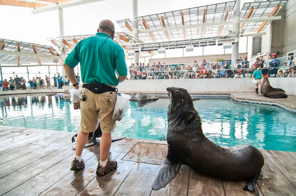 Boston: New England Aquarium Skip-the-Line Entry Ticket - Customer Reviews